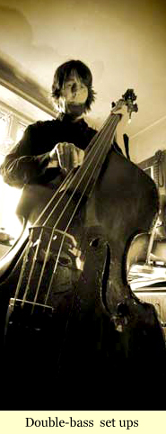 double-bass repairs and set ups
