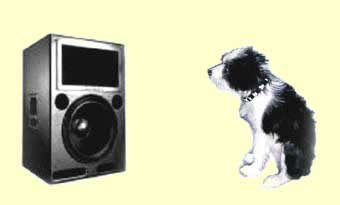 his masters voice