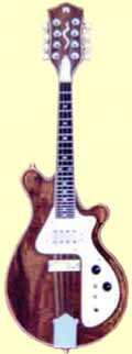 electric mandolin